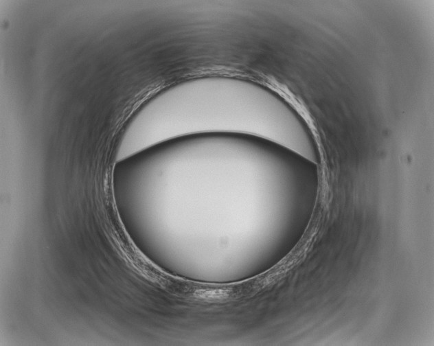 X0000087420057200704201056