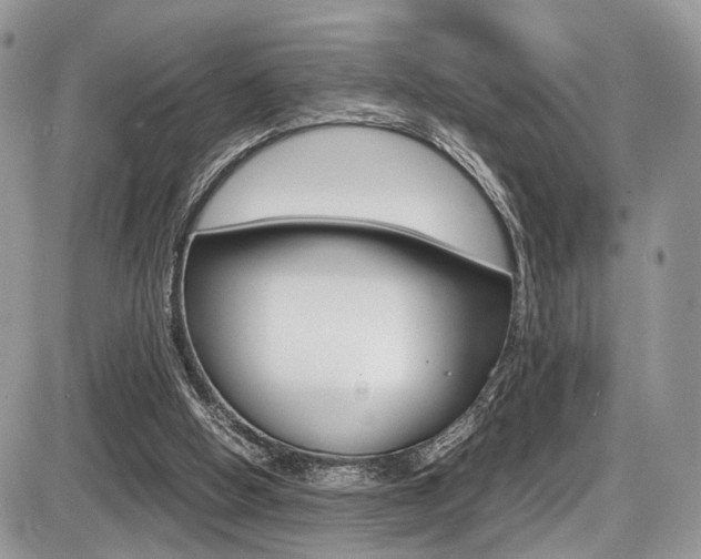 X0000087420058200704201056