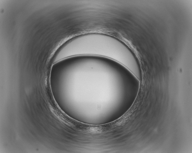 X0000087420060200704201056