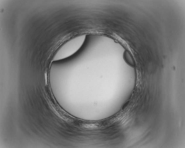 X0000087420061200704201056