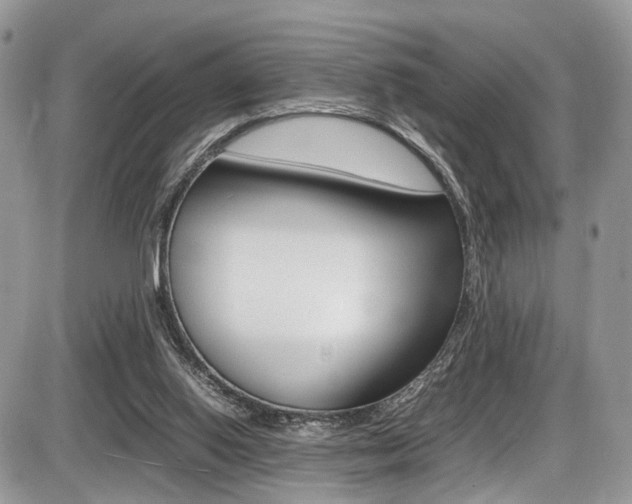 X0000087420062200704201056