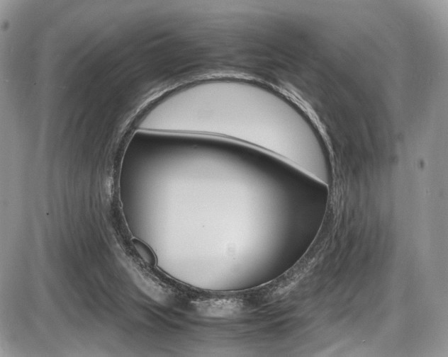 X0000087420063200704201056