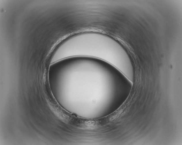 X0000087420064200704201056