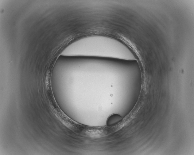 X0000087420065200704201056