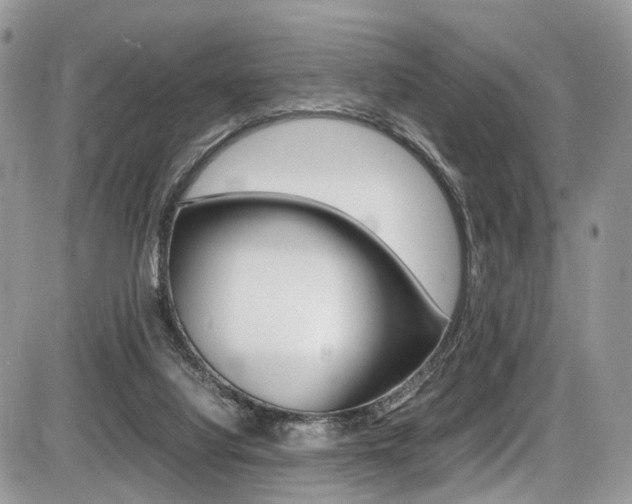 X0000087420068200704201056