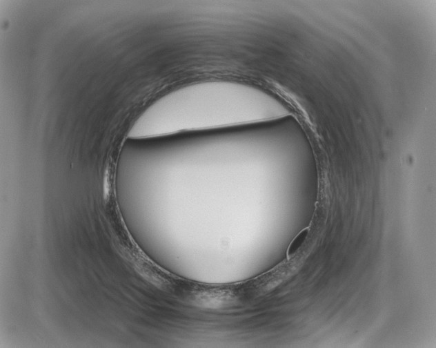 X0000087420069200704201056