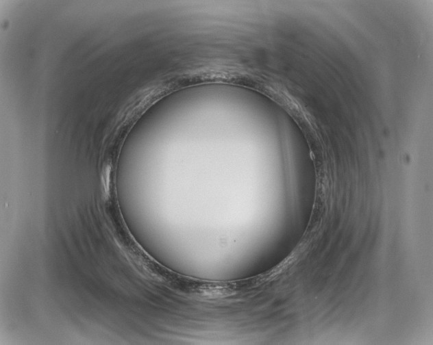 X0000087420070200704201056