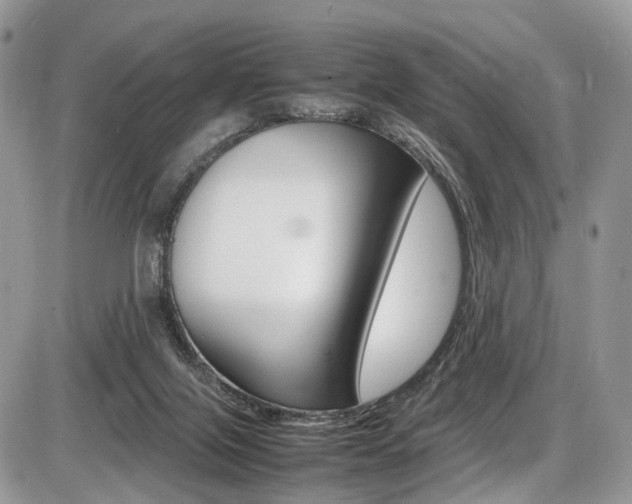 X0000087420071200704201056