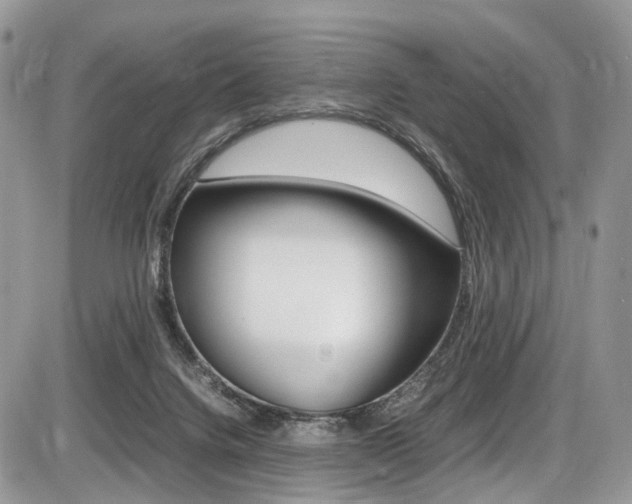 X0000087420072200704201056