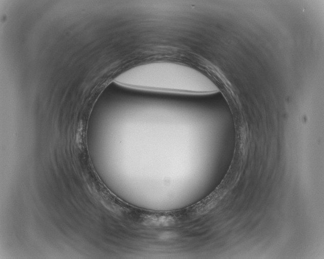 X0000087420073200704201056