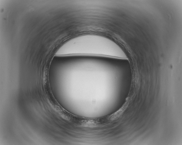 X0000087420074200704201056