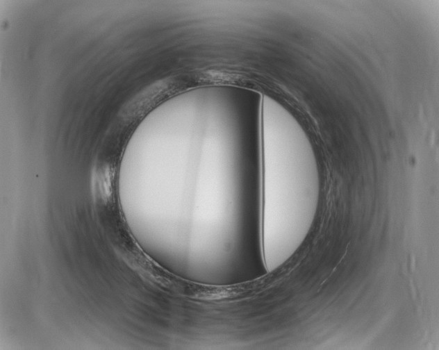 X0000087420075200704201056