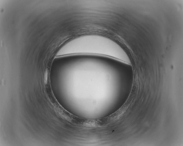 X0000087420076200704201056