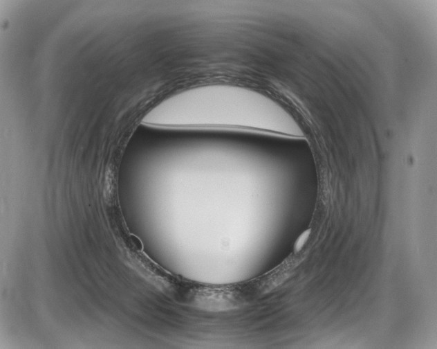 X0000087420077200704201056