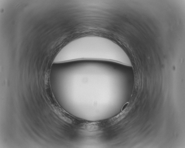 X0000087420078200704201056