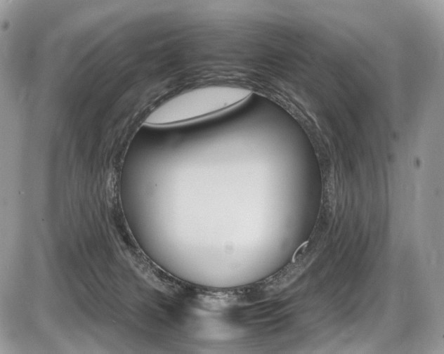 X0000087420079200704201056