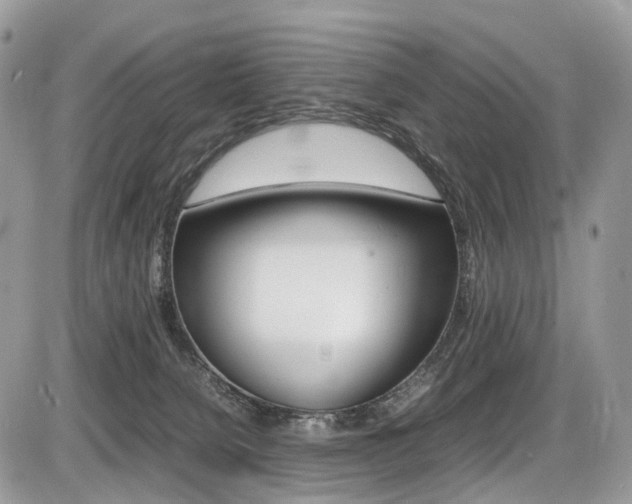 X0000087420080200704201056