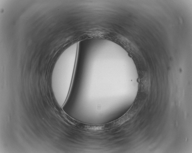 X0000087420081200704201056