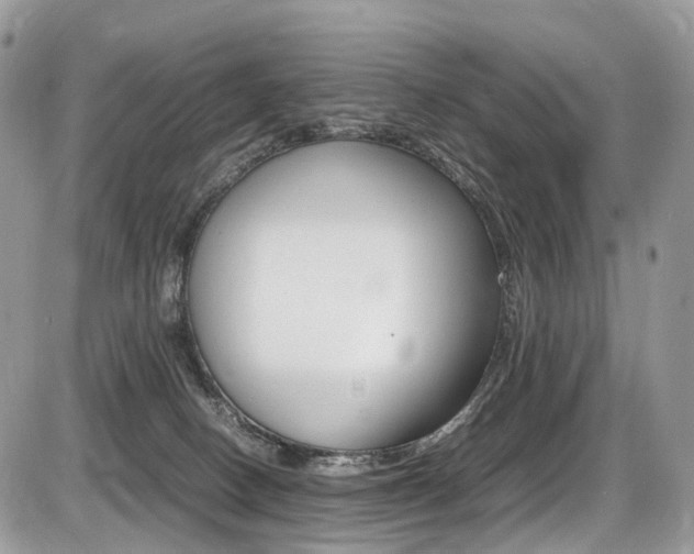 X0000087420082200704201056