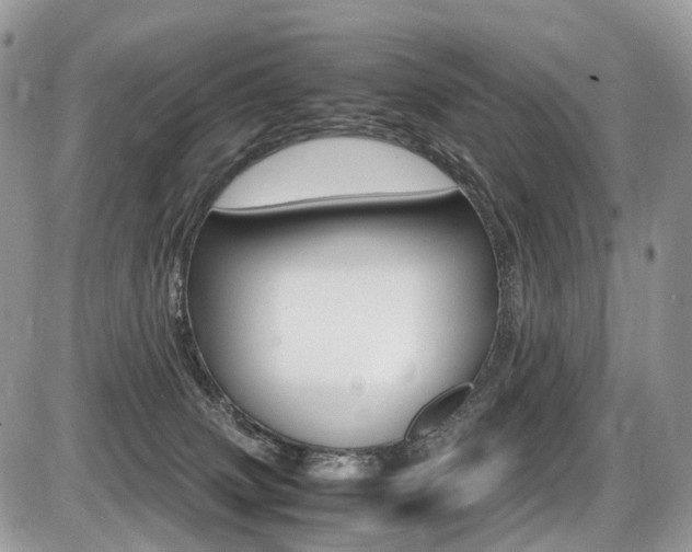 X0000087420083200704201056