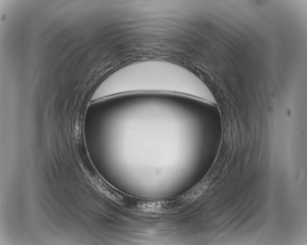 X0000087420084200704201056