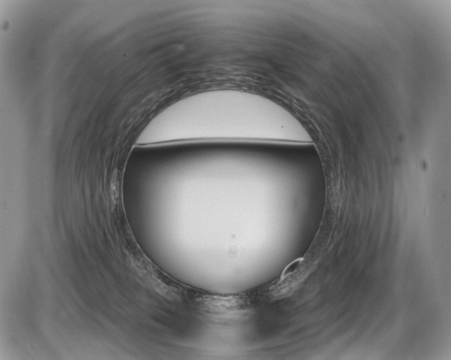 X0000087420085200704201056