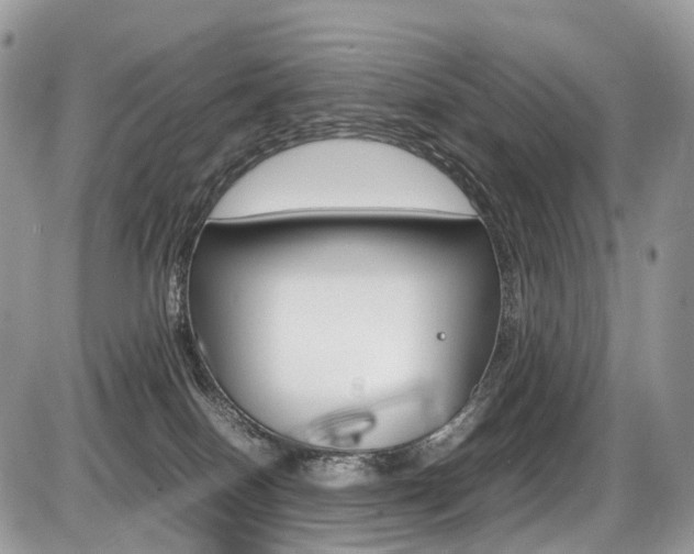 X0000087420086200704201056