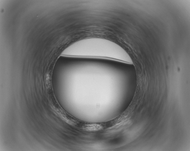 X0000087420087200704201056