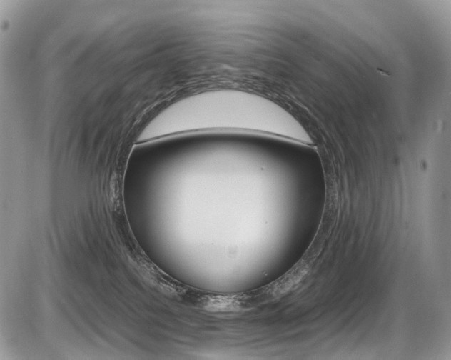 X0000087420088200704201056