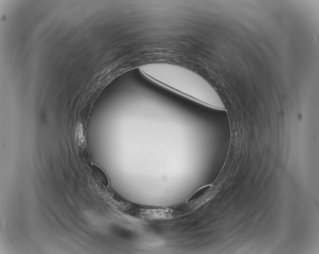 X0000087420089200704201056