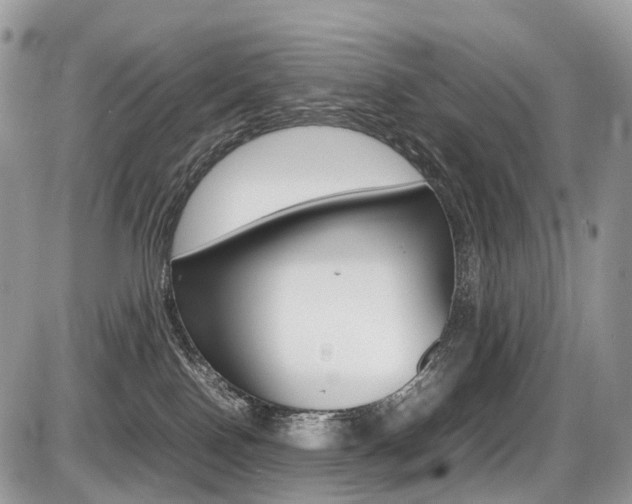 X0000087420090200704201056