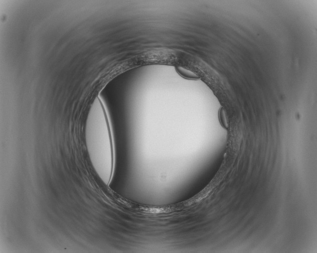 X0000087420091200704201056