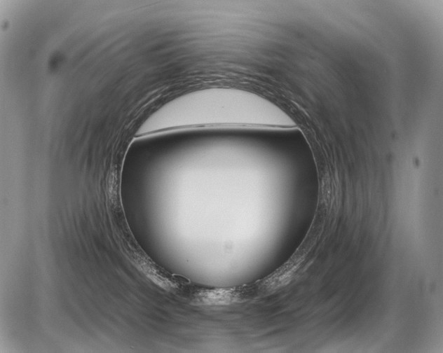 X0000087420092200704201056