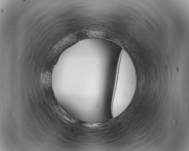 X0000087420093200704201056