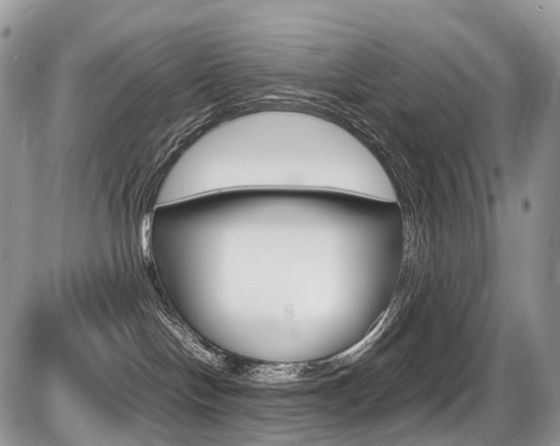 X0000087420094200704201056