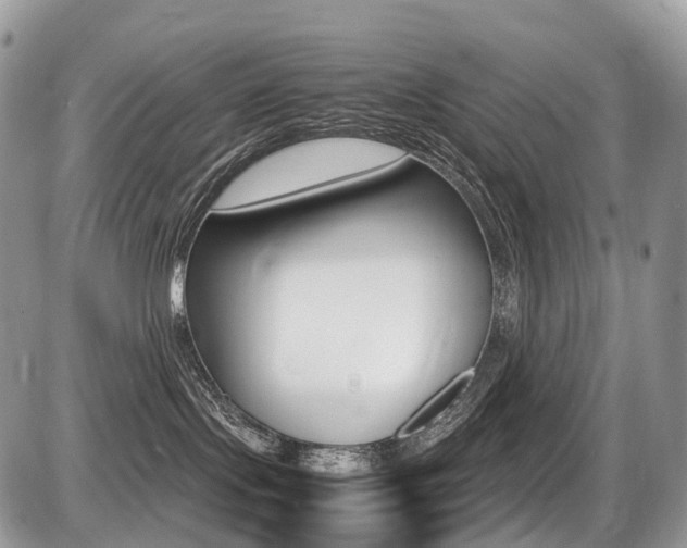 X0000087420095200704201056