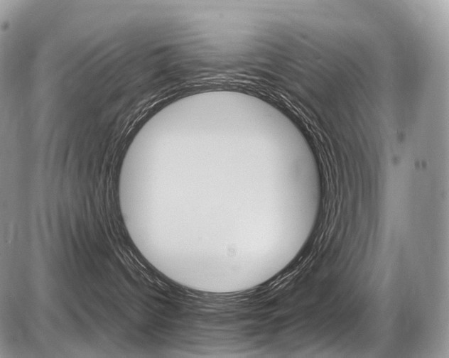 X0000087420096200704201056