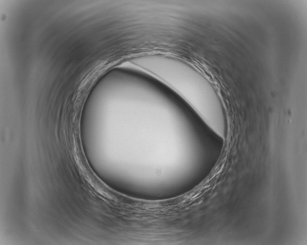 X0000087420097200704201055