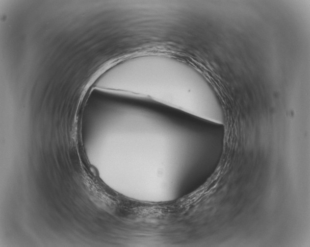 X0000087420100200704201055