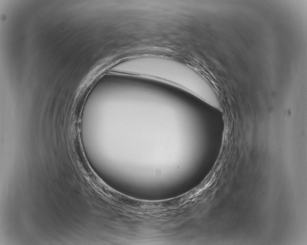 X0000087420101200704201055