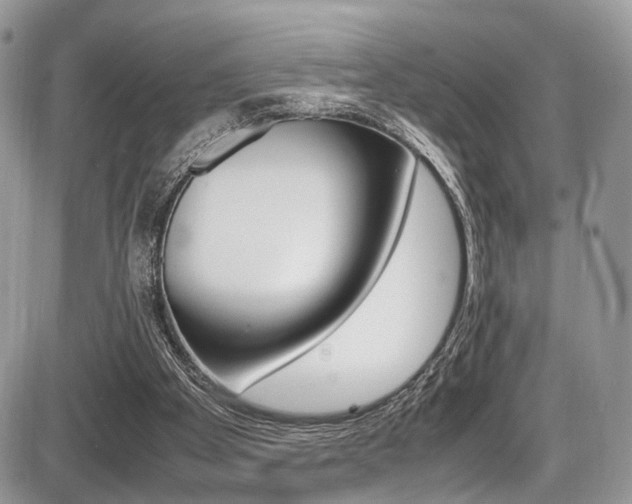 X0000087420105200704201055