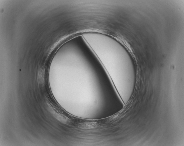 X0000087420108200704201055