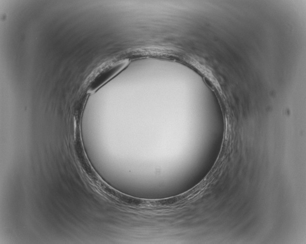 X0000087420109200704201055