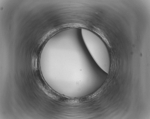 X0000087420110200704201055