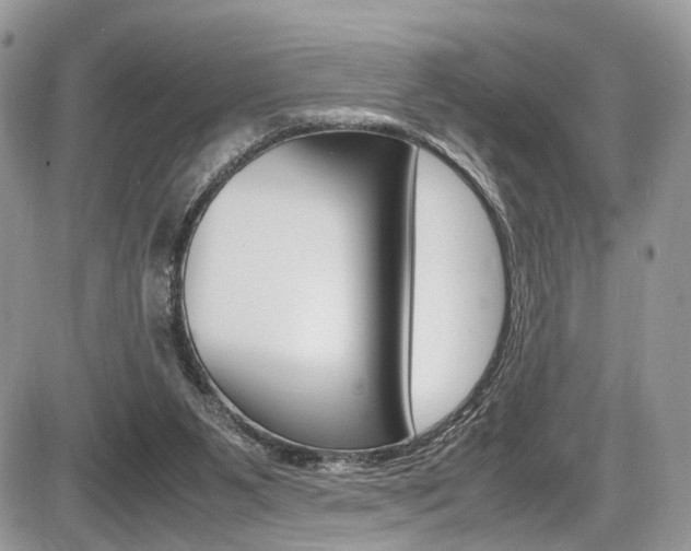 X0000087420111200704201055