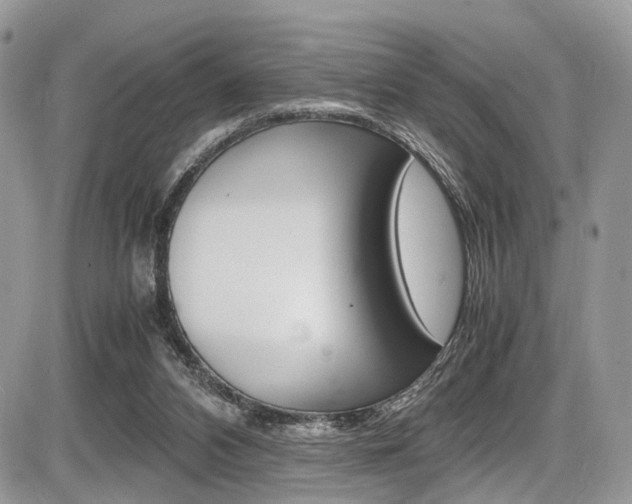 X0000087420112200704201055