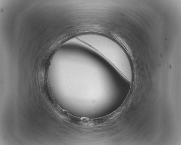 X0000087420113200704201055