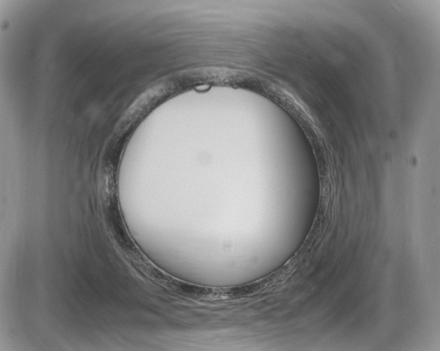 X0000087420119200704201055