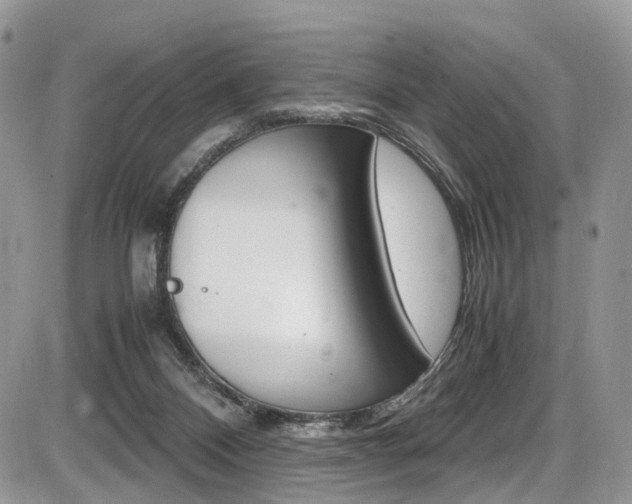 X0000087420120200704201055