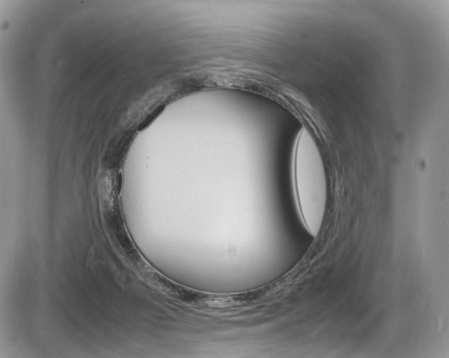 X0000087420121200704201055